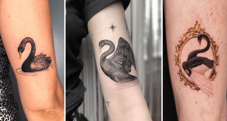 Black Swan Tattoos