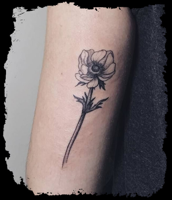 Anemone  April Birth Flower Tattoo