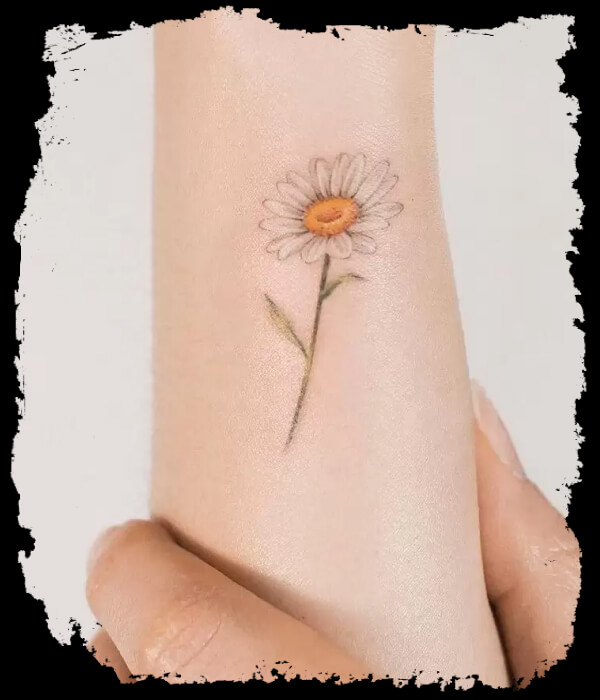 Daisy Flower Tattoo Idea