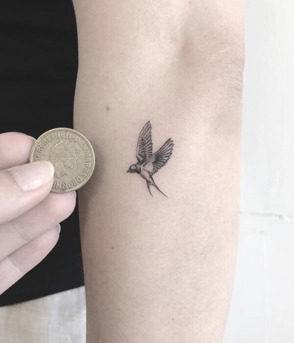 Micro-Realistic Hummingbird Tattoo