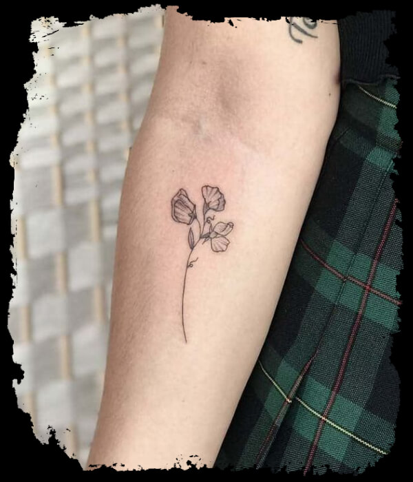 Sweet Pea Flower Tattoo 