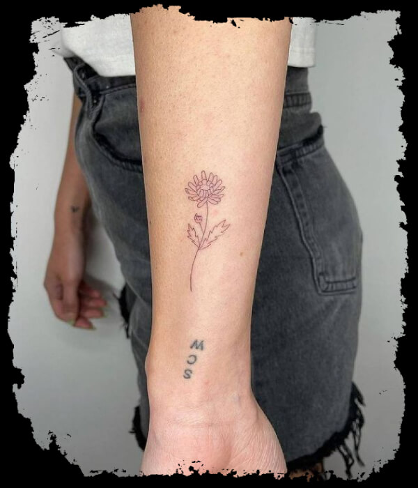 Chrysanthemum Flower Tattoo 