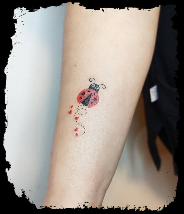 Ladybug Tattoo designs