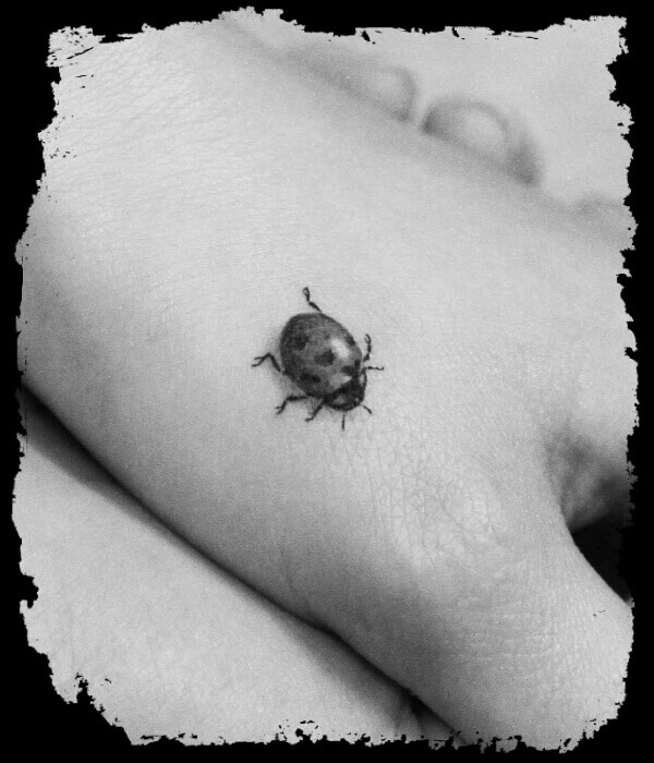 Ladybug Tattoo Ideas 