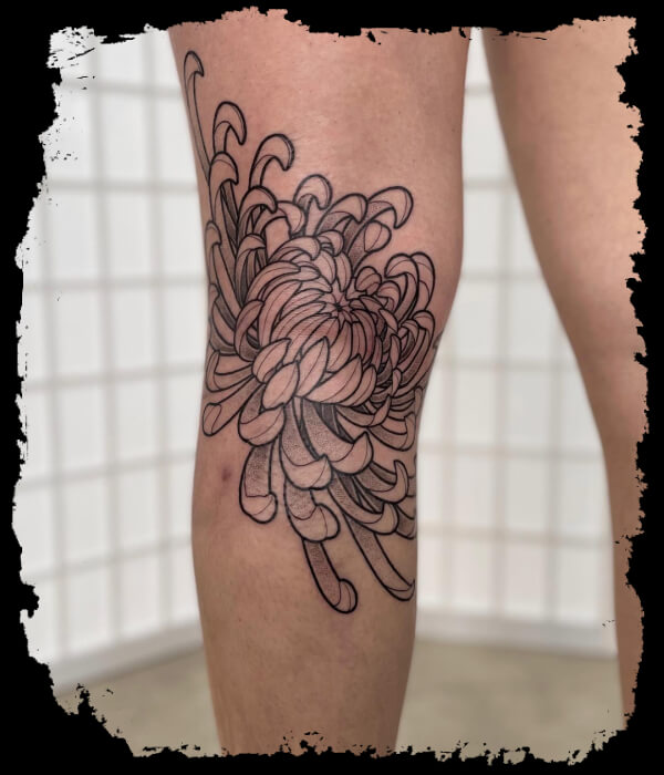 Chrysanthemum Flower Tattoo on leg