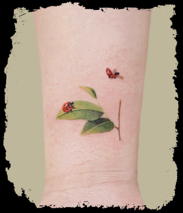 ladybug tattoo designs 