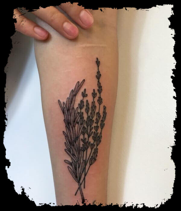 Rosemary Tattoo Design