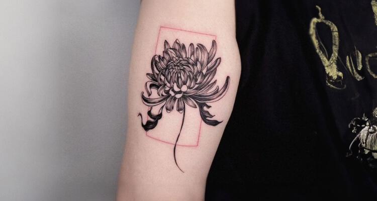 Best Chrysanthemum Flower Tattoo Designs And Ideas