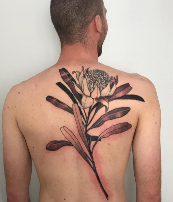 Protea Back Tattoo for Men - Trending Tattoo Protea-Back-Tattoo-for-Men