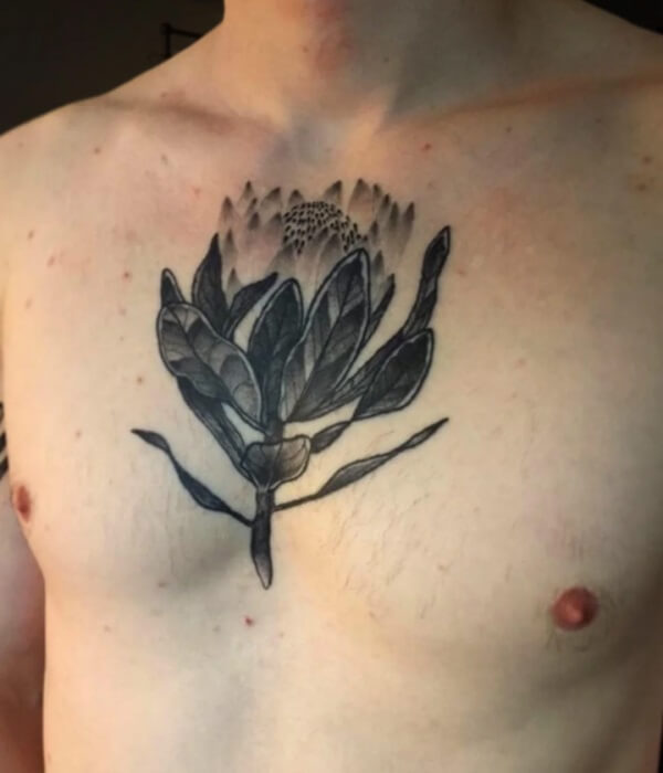 Protea Chest Tattoo - Trending Tattoo Protea-Chest-Tattoo