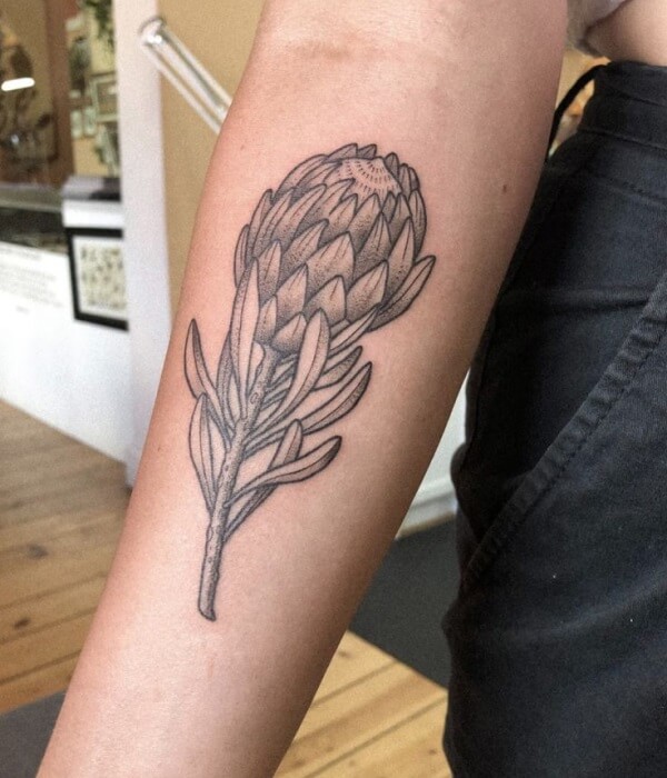 Protea Forearm Tattoo - Trending Tattoo Protea-Forearm-Tattoo