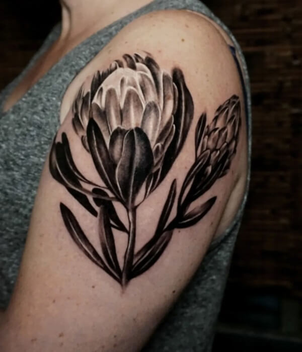 Protea Shoulder Tattoo - Trending Tattoo Protea-Shoulder-Tattoo