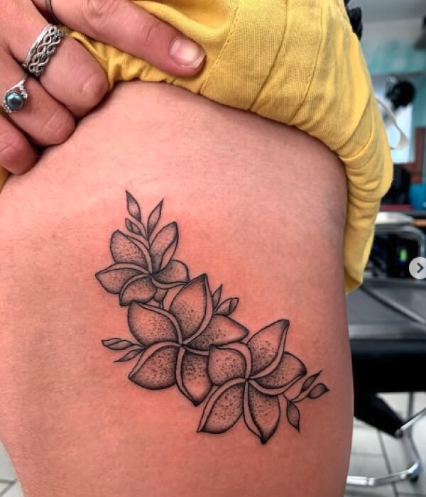 Plumeria Tattoo Black and White - Trending Tattoo Plumeria-Tattoo-Black-and-White