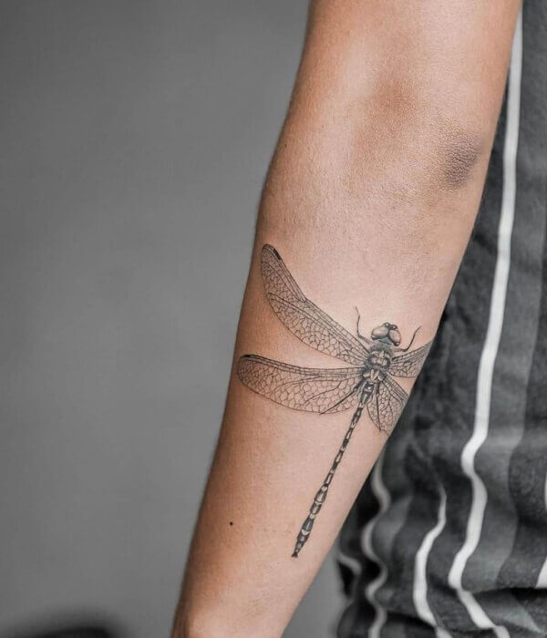 Dragonfly Tattoo - Trending Tattoo Dragonfly Tattoo