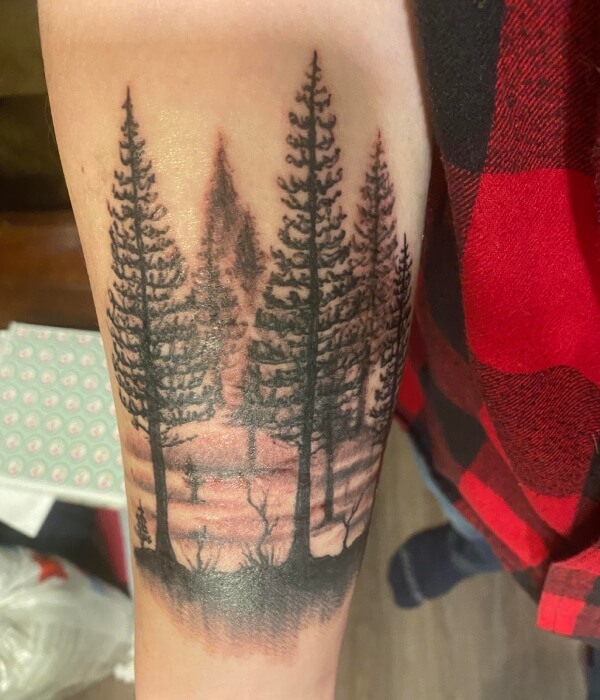 Close-up of a realistic pine forest tattoo on a forearm, featuring tall evergreen trees in black and grey ink with soft shading, natural skin texture, and a calm woodland landscape design.