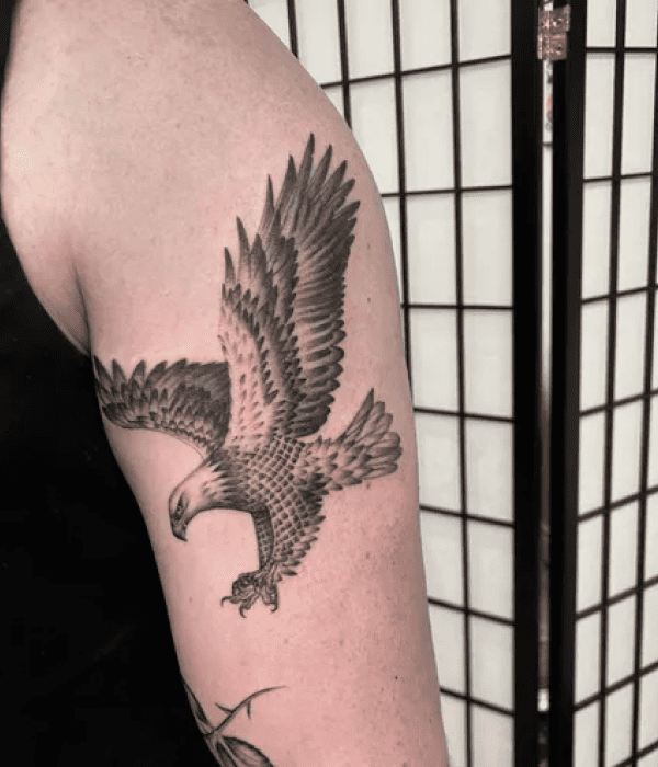 Eagle in Flight Tattoo - Trending Tattoo Eagle in Flight Tattoo