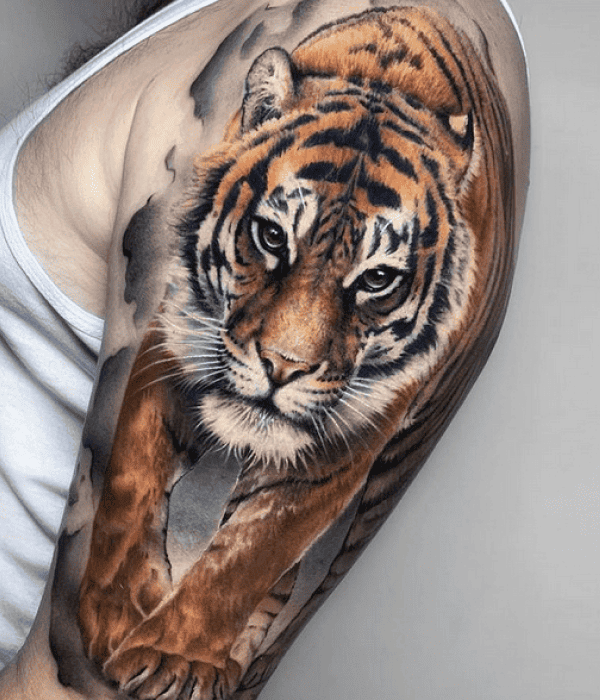 Tiger Tattoo - Trending Tattoo Tiger Tattoo