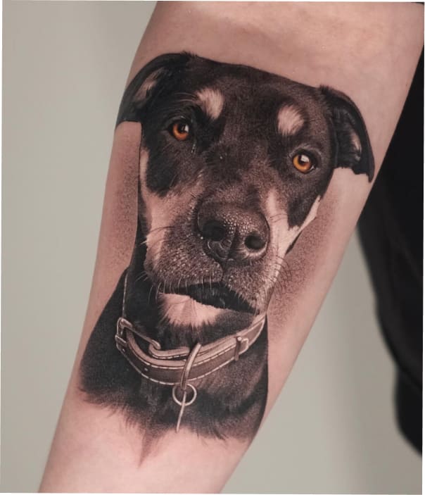Pet-Portrait-Tattoo